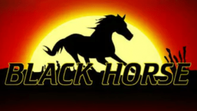 black horse